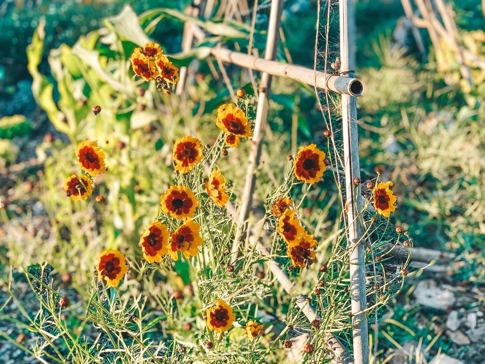 Stay At Pachamama Community Alcacer do Sal Phòng bức ảnh